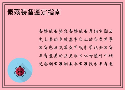 秦殇装备鉴定指南
